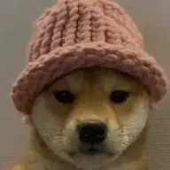 bonkbonk123
