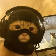 oiopewpew