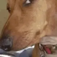ututtt