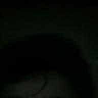 kayornimo