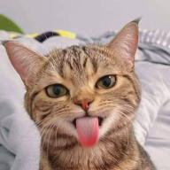 Kenuaea_