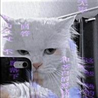 Mee Nari