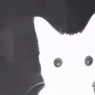 Tic0_T