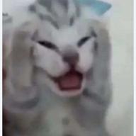Mebinems