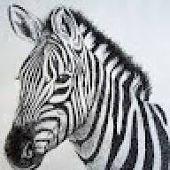 cheetahbull6778