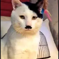 WWsker