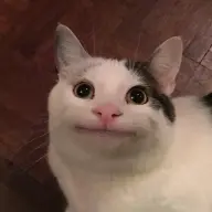 Drchaknu