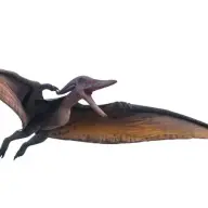 Omeji