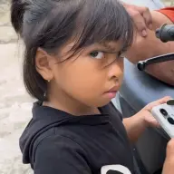 Bentelogs
