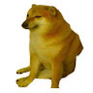 doghott