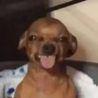 Sanjiiii_