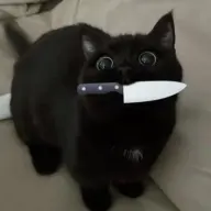 Kuro_Oja