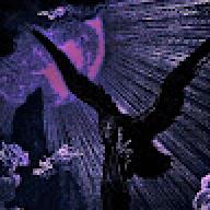 dxntex