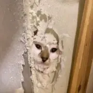 MiserableAtBest