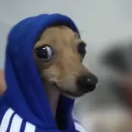 sirsingkit