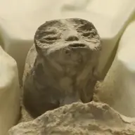 roccozzz