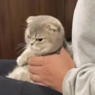 Grubinio