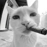 Roxzzz