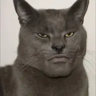 cyri