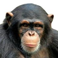 baragamo
