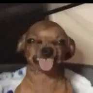 yadommm