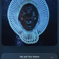 xe66666