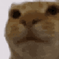 zaru