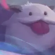 csldmgs1
