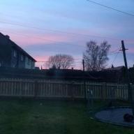miamialol