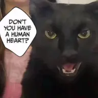 NIGGERIAN