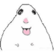 SSnpZZ
