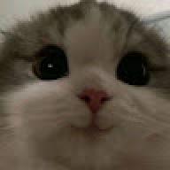 jjoltujie