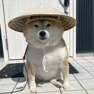 pedrobasuraman_