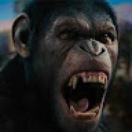 silverback895