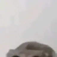 B3ni