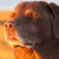 iloveshrek0026