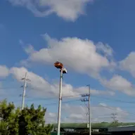 gyg