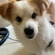 MKYDLFFY