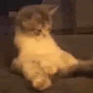 Okebai