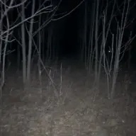 Tsggark