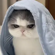 Harururuut