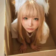 Niksim