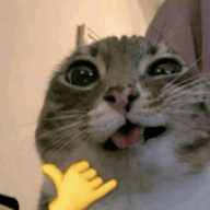 freeuser123