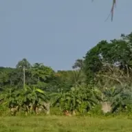 usuixkrus