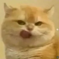 Sukemitch