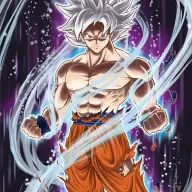 ssj071381