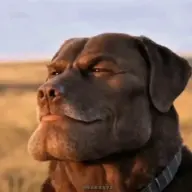 Alf69