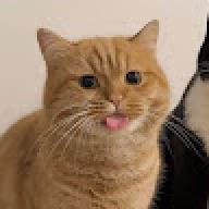 VeniVediVecci