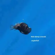 Inevitable_bill