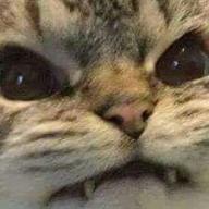 lancelooot